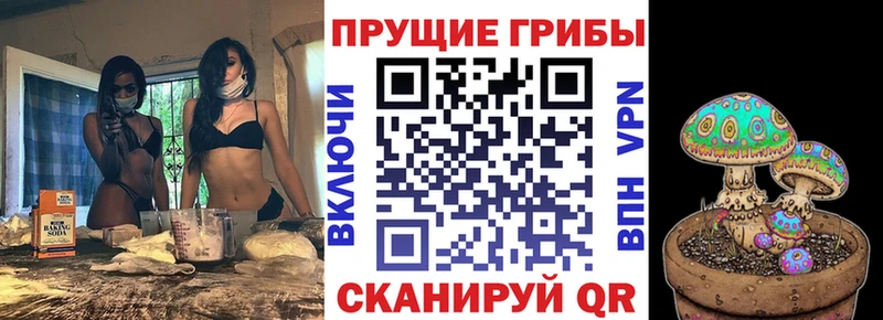 Галлюциногенные грибы MAGIC MUSHROOMS  hydra маркетплейс  Енисейск 