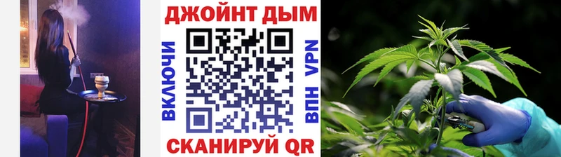 Бошки Шишки MAZAR  Енисейск 